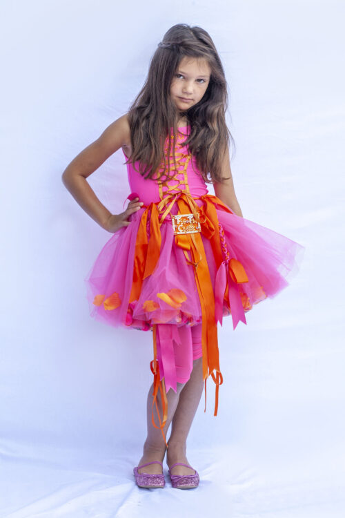Rainbow Sherbet Tutu Dress